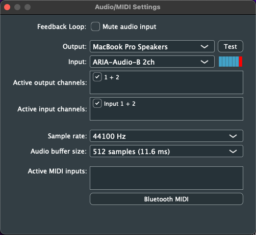 Audio/MIDI Settings Interface - Configuration panel for standalone application